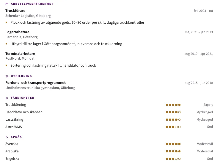 Utsnitt ur ett CV i mallen Bricka: små linjeikoner framför rubrikerna och färdigheter visade som prickar med nivåord